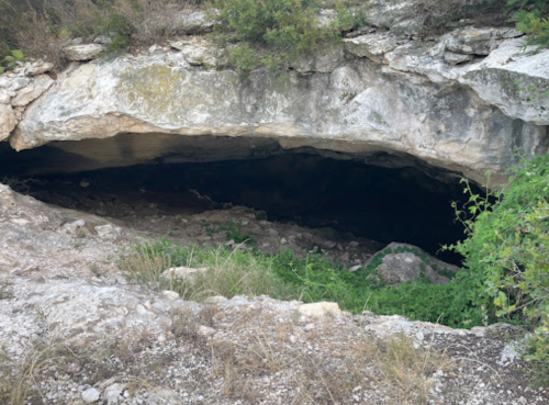 A rocky cave entrance surrounded by greenery, leading into a dark interior.